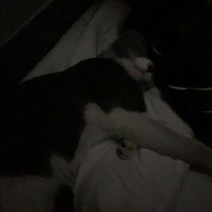 Meet your Posher, Ciara